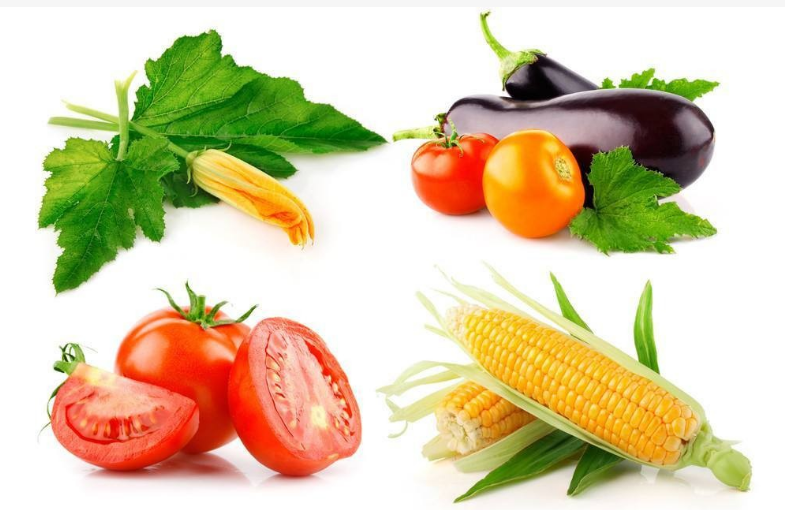 食品顏色測量 食品顏色測量